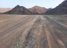 Farm Land for Rent in Muscat Ansab