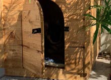 Dog house Dog house
