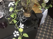 money plant for sale money plant for sale