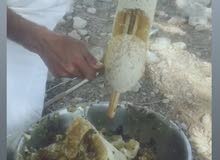 للبيع عسل سدر اصلي (بوطويق ) 2020 للبيع عسل سدر اصلي (بوطويق ) 2020