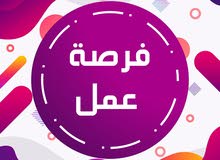 فرصة عمل فرصة عمل
