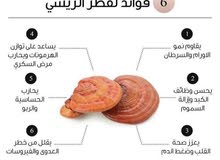 صحتك كنز فحافظ عليه صحتك كنز فحافظ عليه
