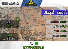 Commercial Land for Sale in Amman Al Lubban