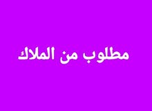 مطلوووب من المالك مباشرة مطلوووب من المالك مباشرة