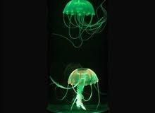 Alien Water Mood Light Alien Water Mood Light