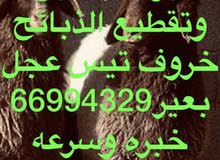 قصاب جزار بوجاد لذبح وتقصيص الدبايح امام باب بيتك قصاب جزار بوجاد لذبح وتقصيص الدبايح امام باب بيتك
