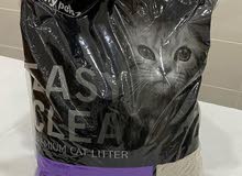 cat litter cat litter