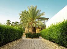 2 Bedrooms Chalet for Rent in Jordan Valley Dead Sea