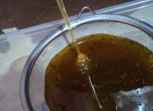 عسل السدر الجبلي الفاخر من جبال المدية عسل السدر الجبلي الفاخر من جبال المدية