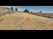 موقع 1 لبيع العقارات في قنا ارض زراعية للبيع قطعة ارض للبيع افضل الاسعار