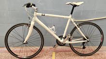 Giant flight m1 Giant flight m1