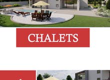 تصميم استراحة - تصميم حديقة تصميم استراحة - تصميم حديقة