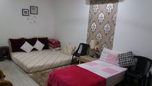 Sharing Studio Apartment Available Looking Executive Bachelor Sharing Studio Apartment Available Looking Executive Bachelor