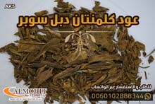 عود كلمنتان ملكي دبل سوبر. عود كلمنتان ملكي دبل سوبر.
