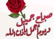 شركة هيثم للعقارات والمقاولات شركة هيثم للعقارات والمقاولات