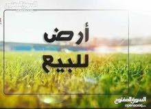 ارض سكنيه ممتازه جدا للبيع بالأجزاء او كامله في مدينة القربوللي ارض سكنيه ممتازه جدا للبيع بالأجزاء او كامله في مدينة القربوللي