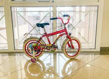 16” Childrens Bicycle (Neon Pink)