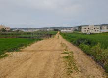 Mixed Use Land for Sale in Jenin Other