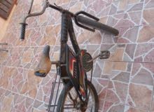دراجة هوائية بنت ينبع