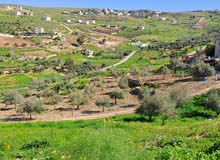 سعر مميز - بيع مستعجل - زراعية - 4090 متر بيرين - صروت