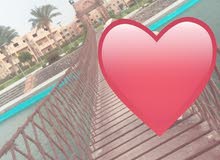 شالية للايجار في قرية موسي كوست شالية للايجار في قرية موسي كوست