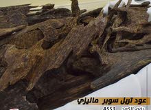 عود الامراء والاثرياء ( عود تربل سوبر ماليزي) طبيعي عود الامراء والاثرياء ( عود تربل سوبر ماليزي) طبيعي