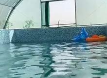 مزرعه للايجاراليومي للعائلات اجوا بريه مزرعه للايجاراليومي للعائلات اجوا بريه