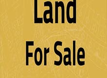 Commercial Land for Sale in Zarqa Russayfah