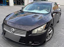 Nissan Maxima 2011 in Muharraq