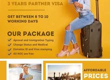 Freelance visa