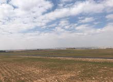 Residential Land for Sale in Madaba Jelul