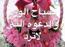 اطلب أي عمل مناسب اطلب أي عمل مناسب