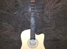 Acoustic Guitar Acoustic Guitar