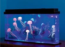 Jellyfish Mood Light Jellyfish Mood Light