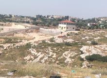 Farm Land for Sale in Irbid Sama Al-Rousan