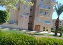 عمارة 7 ادوار في مكان مميز بفيصل كعبيش ناصية عمارة 7 ادوار في مكان مميز بفيصل كعبيش ناصية