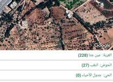 عين جنا حرق من المالك مباشرة 4500 م عين جنا حرق من المالك مباشرة 4500 م