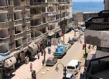 شقق مفروشه ميامي عصافره مندره اسكندريه شقق مفروشه ميامي عصافره مندره اسكندريه