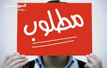 مطلوب دجاج نجدي مطلوب دجاج نجدي