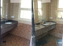 شركة تنظيف ومكافحه الحشرات الزاحفه والطائره شركة تنظيف ومكافحه الحشرات الزاحفه والطائره