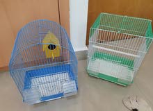2 birds cages with discounted price 2 birds cages with discounted price