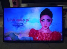 شاشة فيستل