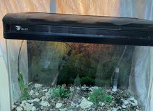 fish tank big size fish tank big size