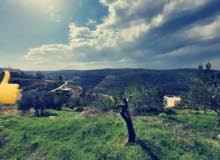 Residential Land for Sale in Bethlehem Battir