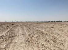 LAND FOR RENT - Mekaines LAND FOR RENT - Mekaines