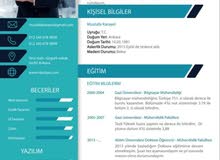 تصميم سيرة ذاتية احترافية cv تصميم سيرة ذاتية احترافية cv