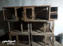 مطلوب بارتيات نضاف للبيع نفس لي في صوره مطلوب 8بارتيات ولي عنده يراسلني خاص مطلوب بارتيات نضاف للبيع نفس لي في صوره مطلوب 8بارتيات ولي عنده يراسلني خاص