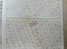 Farm Land for Sale in Amman Airport Road - Manaseer Gs