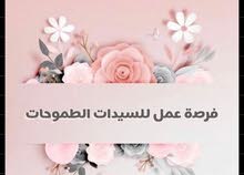 فرصة عمل من المنزل فرصة عمل من المنزل