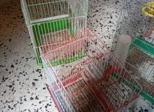 4اقفاص نطااااف 4اقفاص نطااااف